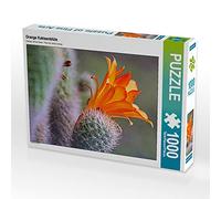 CALVENDO Puzzle Fleur de Cactus Orange 1000 Pieces 48 x 64 cm from Liselotte Brunner-Klaus