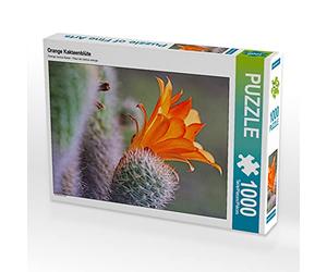 CALVENDO Puzzle Fleur de Cactus Orange 1000 Pieces 48 x 64 cm from Liselotte Brunner-Klaus