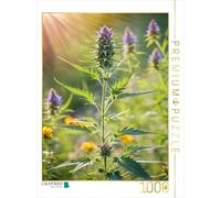 CALVENDO Puzzle Fleur de Marijuana au Soleil - Plante de Chanvre en été | 1000 pièces Taille de la Ponte 48 x 64 cm Puzzle Photo pour des Heures heureuses
