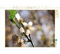 CALVENDO Puzzle Fleur de Prunier 1000 Pieces 64 x 48 cm from Christiane Calmbacher