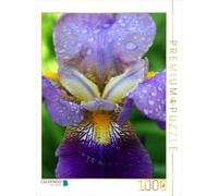 CALVENDO Puzzle Fleur d'iris onirique 1000 Pieces 48 x 64 cm from Martina Cross