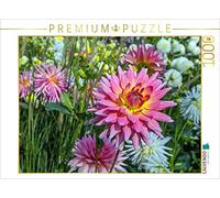 CALVENDO Puzzle Fleurs - Cadeaux de la Nature - Dahlias Rouges 1000 Pieces 64 x 48 cm from Christoph Ebeling