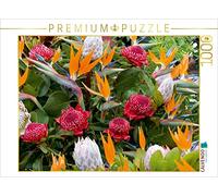 CALVENDO Puzzle Fleurs de l'oiseau de Paradis - Arbustes à Sucre (Protea) 1000 Pieces 64 x 48 cm from Dieter Meyer