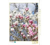 CALVENDO Puzzle Fleurs de Magnolia 1000 Pieces 48 x 64 cm from Gisela Kruse