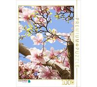 CALVENDO Puzzle Fleurs de Magnolia sur Fond de Ciel Bleu 1000 Pieces 48 x 64 cm from Gisela Kruse