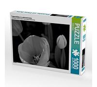 CALVENDO Puzzle Fleurs de Tulipe en Noir et Blanc 1000 Pieces 64 x 48 cm from Sabine Reuke