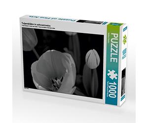 CALVENDO Puzzle Fleurs de Tulipe en Noir et Blanc 1000 Pieces 64 x 48 cm from Sabine Reuke