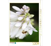 CALVENDO Puzzle Fleurs d'Hosta 1000 Pieces 48 x 64 cm from Gisela Kruse