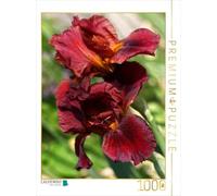 CALVENDO Puzzle Fleurs d'iris oniriques 1000 Pieces 48 x 64 cm from Martina Cross