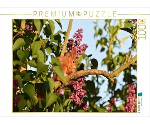 CALVENDO Puzzle Fliederhörnchen 1000 Teile Puzzle quer 1000 Pieces 64 x 48 cm from Heike Adam