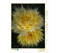 CALVENDO Puzzle Flower Explosion I PHOTO ART° by Rosemarie Hofer | 1000 Teile Le