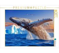 CALVENDO Puzzle Flying high with elegance | 1000 pieces, finished size 25.2 × 18
