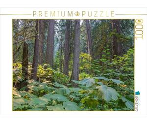 CALVENDO Puzzle Forêt de cèdres géants dans l'Ouest Canadien 1000 Pieces 64 x 48 cm from Hanna Wagner