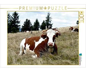 CALVENDO Puzzle Forêt-Noire et Vaches en Format Portrait 1000 Pieces 64 x 48 cm from Stefanie Goldscheider
