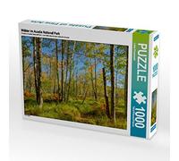 CALVENDO Puzzle Forêts du Parc National d'Acadie 1000 Pieces 64 x 48 cm from Lukas Proszowski