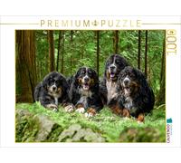 CALVENDO Puzzle Four Bernese males on an adventure | 1000 pieces, finished size
