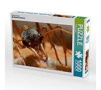 CALVENDO Puzzle Fourmis Exotiques 1000 Pieces 64 x 48 cm from Rolande