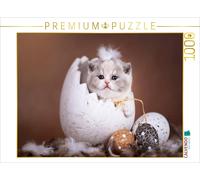 CALVENDO Puzzle Fresh out of the shell _ Kitten sitting in an Easter egg | 1000