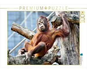 CALVENDO Puzzle Frisson Orang Utan-Today 1000 Pieces 64 x 48 cm from Arno Klatt