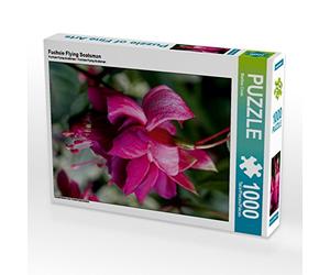 CALVENDO Puzzle Fuchsia Flying Scotsman 1000 Pieces 48 x 64 cm from Martina Cross