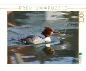 CALVENDO Puzzle Gänsesäger (Mergus Merganser) Weibchen 1000 Teile Puzzle quer 1000 Pieces 64 x 48 cm from Kattobello