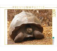 Puzzle · Tortue géante des Galápagos | 1000 pièces · Format assemblé 64 × 48 cm · CALVENDO Puzzle