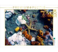 CALVENDO Puzzle Galathea-Seestern, Drop Off, Tulamben,Bali, Indonesien | 1000 Te