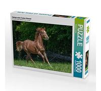 CALVENDO Puzzle Galoper sous Le Ciel Ouvert 1000 Pieces 64 x 48 cm from Margret v Conta
