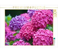 CALVENDO Puzzle Gartenhortensie (Hydrangea macrophylla) | 1000 Teile Lege-Größe