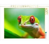 CALVENDO Puzzle Gecko Portrait | 1000 pieces, finished size 25.2 × 18.9 in (64 ×