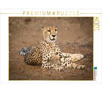 CALVENDO Puzzle Gepard, Botswana 2017 | 1000 pieces, finished size 25.2 × 18.9 i