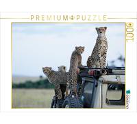 CALVENDO Puzzle Geparden Auf dem Jeepdach 1000 Teile Puzzle quer 1000 Pieces 64 x 48 cm from Michael Herzog