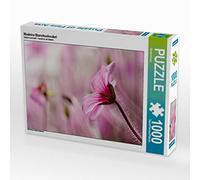 CALVENDO Puzzle Géranium de Madère 1000 Pieces 64 x 48 cm from Gisela Kruse