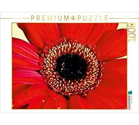 CALVENDO Puzzle Gerbera Rouge 1000 Pieces 64 x 48 cm from Art-Motiva