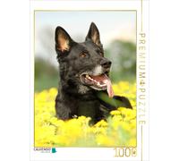 CALVENDO Puzzle Chien Berger Allemand 1000 Pieces 48 x 64 cm from Claudia Steininger