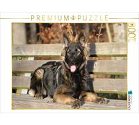 CALVENDO Puzzle Chien Berger Allemand 1000 Pieces 64 x 48 cm from Claudia Steininger