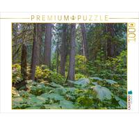 Puzzle CALVENDO Forêt de cèdres géants dans l'ouest du Canada | 1000 pièces, for