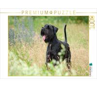 CALVENDO Puzzle Giant Schnauzer - black | 1000 pieces, finished size 25.2 × 18.9