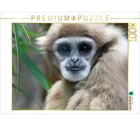 CALVENDO Puzzle Gibbon à Mains Blanches 1000 Pieces 64 x 48 cm from Martina Berg