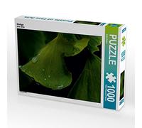 CALVENDO Puzzle Ginkgo 1000 Pieces 64 x 48 cm from Anke Brehm