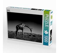CALVENDO Puzzle Girafe 1000 Pieces 64 x 48 cm from Kirsten Karius