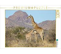 CALVENDO Puzzle Girafe avec Son Petit 1000 Pieces 64 x 48 cm from Wilfried Martin
