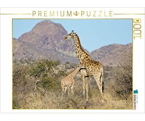 CALVENDO Puzzle Girafe avec Son Petit 1000 Pieces 64 x 48 cm from Wilfried Martin