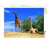 CALVENDO Puzzle Girafes 1000 Pieces 64 x 48 cm from Eduard Tkocz