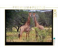 CALVENDO Puzzle Girafes 1000 Pieces 64 x 48 cm from U boeTtchEr