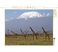 CALVENDO Puzzle Girafes - Au Kilimandjaro 1000 Pieces 64 x 48 cm from Michael Herzog