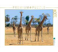 CALVENDO Puzzle Girafes dans la réserve de Moremi 1000 Pieces 64 x 48 cm from Olaf Bruhn