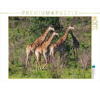 CALVENDO Puzzle girafes en Route vers Le Trou d'eau, Afrique du Sud | 1000 pièces de Ponte Taille 64 x 48 cm Puzzle Photo pour des Heures heureuses