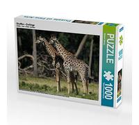 CALVENDO Puzzle Girafes - Jumeaux 1000 Pieces 64 x 48 cm from Michael Herzog