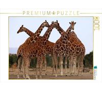 CALVENDO Puzzle Girafes - Réunion 1000 Pieces 64 x 48 cm from Michael Herzog